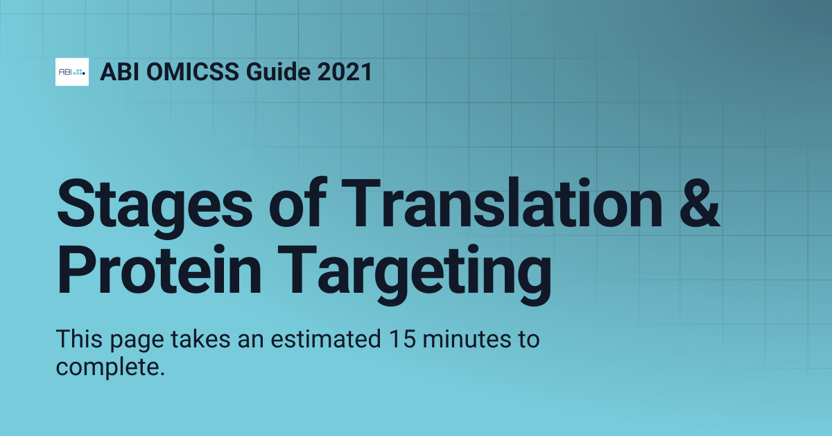 Stages of Translation & Protein Targeting | ABI OMICSS Guide 2021
